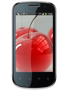 Best available price of Celkon A19 in Kyrgyzstan