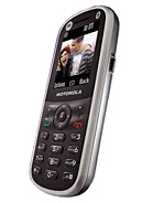 Best available price of Motorola WX288 in Kyrgyzstan